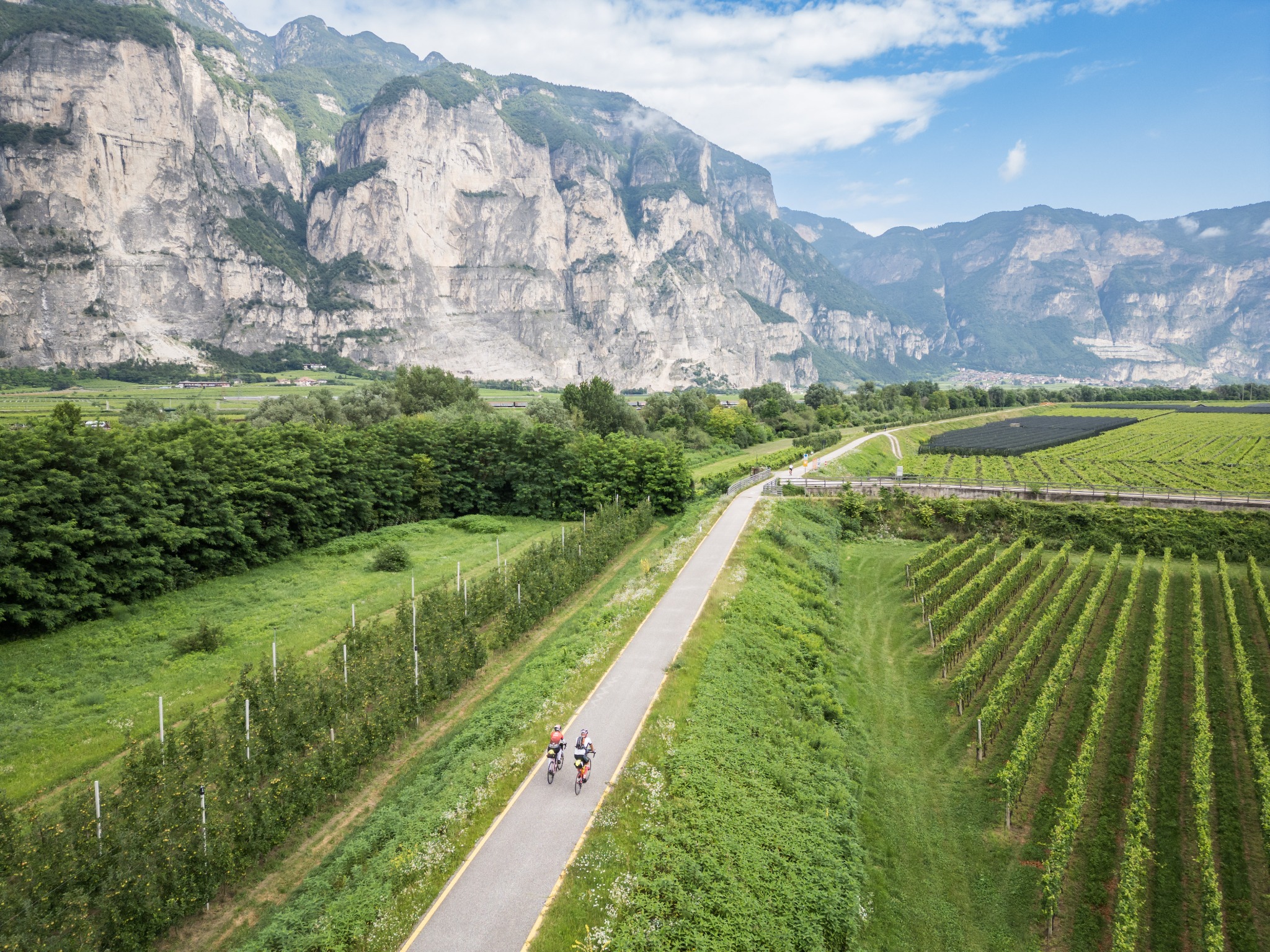 The Alps